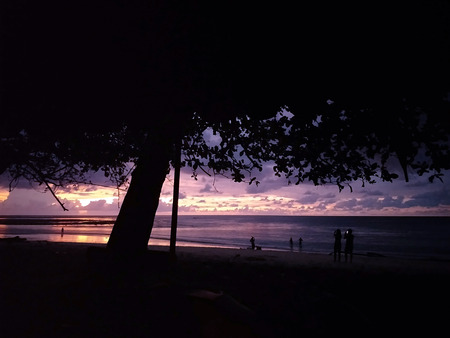 beach sunset with silhouette tree people enjoy activities in lifestyleの写真素材