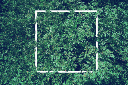 vintage photography effect - many of forest green leaves background pattern with white frame  border overlap on centerの写真素材