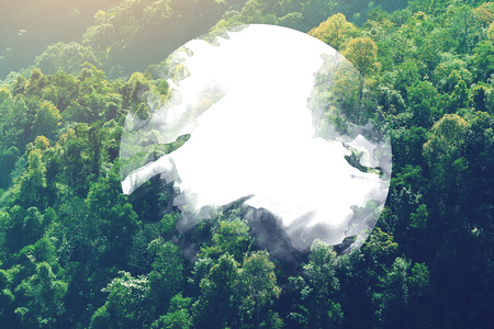 design concept white circle in center of density tree forest background pattern in vintage effect photographyの写真素材