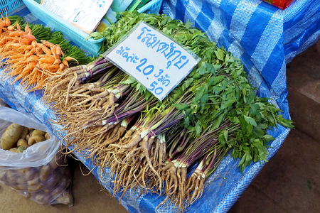CHIANG MAI THAILAND - 30 January 2018: fresh Ginseng tree with roots for sell at Local Market in Doi Ang Khang, Fang, Chiang Mai, Thailandのeditorial素材