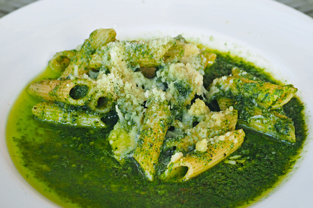 macaroni in full load of green basil pesto sauce close up macro photoの写真素材