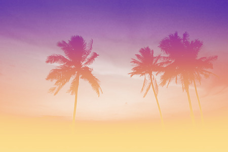 coconut palm tree on the beach in vintage pastel sweet color effectの写真素材