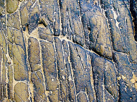 close up texture of limestone sea rock layer surface on the beach sideの写真素材