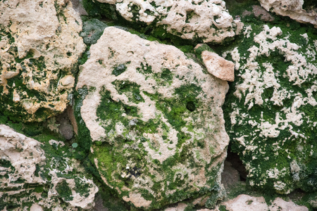 Old concrete wall as background. concrete wall background texture and moldの写真素材