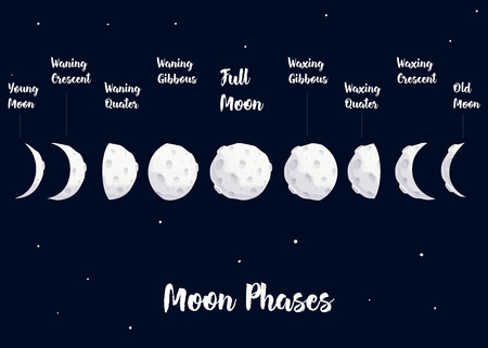 Vector infographic of phases moon cartoon in the dark blue backgroundのイラスト素材