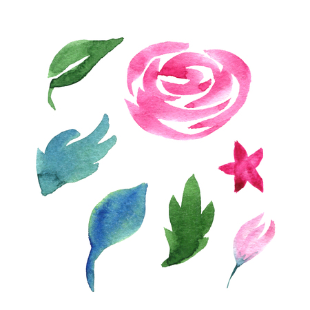 Watercolor set of rose and leaves a white background. Perfect for design for mothers day, womens day, wedding, save the date, card, holidayの写真素材