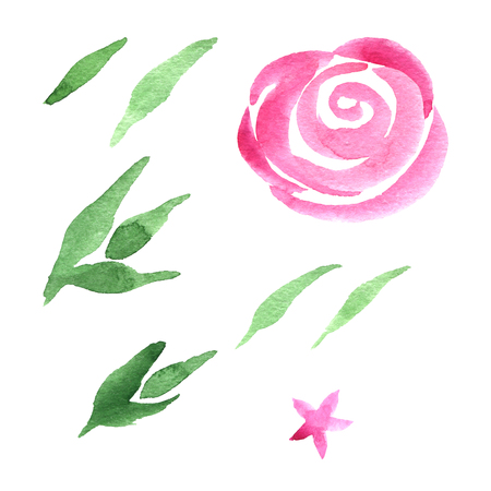 Watercolor set of flowers and leaves a white background. Perfect for design for mothers day, womens day, wedding, save the date, card, holidayの写真素材