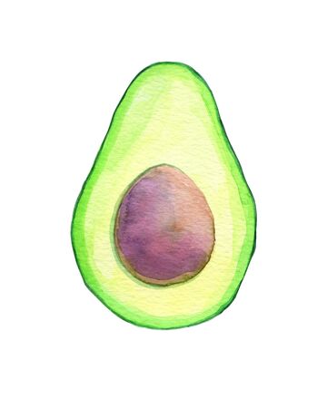 Avocado watercolor illustration on white background. Trendy Green Avocado design template illustration. Food watercolour colorful for print design. Trendy Vegetable Organic meal. Hand drawn watercolor.の写真素材