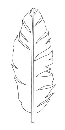 Sketch one line banana leaf. Vector isolated illustration. Palm, exotic leaves. Vector  plant botanical garden floral foliage. Organic fruit. Palm leaf line art. Contour . Minimalism artのイラスト素材
