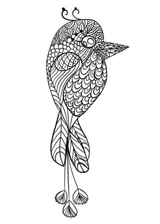 Doodle coloring page adults bird. Vintage sketch pattern with coloring page for kids bird. Fashion art design. Animal pattern. Beautiful illustration. Outline vector hand drawn line art drawing vectorのイラスト素材