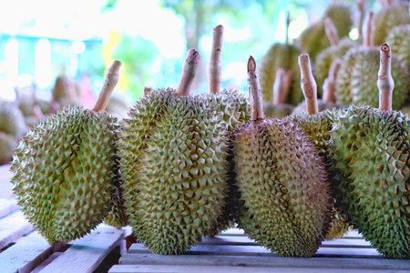 A stack of Durian monthong. Durian is king of fruit is famous Asian fruit.