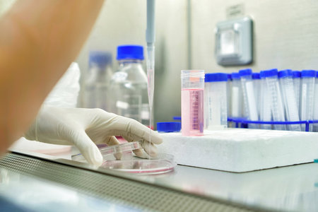 The researcher is using the Pipette size 200-1000uL to transfer small amounts of liquids. To do the...