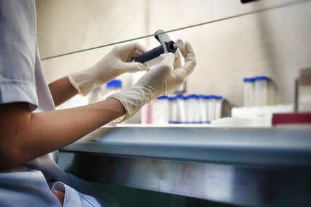 Hands of the woman researcher using the Pipette size 200 - 1000uL for do the research of drugs or chemicals in the laboratory room.の写真素材