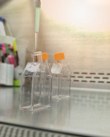 The women researcher using pipette and cell culture flask do the aseptic technique for changing the...