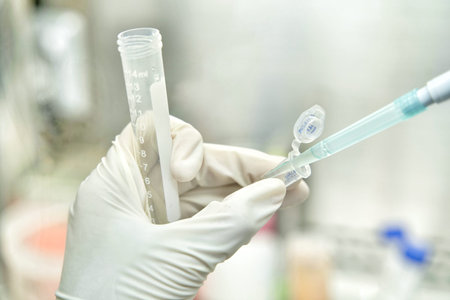 Close up of the woman researcher using pipette to transfer resuspension of cells line from 15 ml...