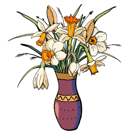 Vector floral illustration whit narcissusのイラスト素材