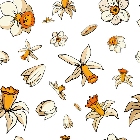 Vector floral seamless pattern whit narcissusのイラスト素材