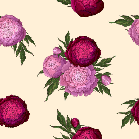 Vector peonies. Seamless pattern of pink-lilac and burgundy flowers. Bouquets of flowers on a beige background. Template for floral decoration, fabric design, packaging or clothing.のイラスト素材