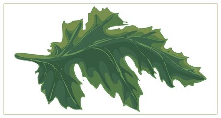 Abstract green leaf logo icon vector design isolated on a white background. Landscape design, garden, Plant, nature and ecology vector logo. Vector stock illustrationのイラスト素材