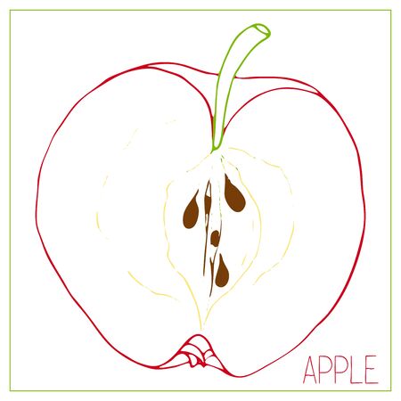 Vector silhouette of apple slices. Isolated drawing fruit on a white background. Juicy healthy food design element. Vector stock illustrationのイラスト素材