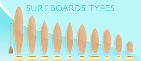 Types of surfboards infographics names and sizes. Vector stock illustration. Shop website information banner, print.のイラスト素材