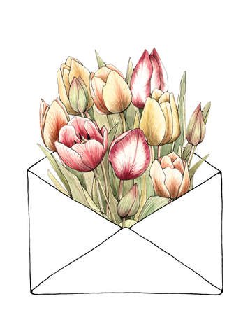 Hand painted and hand drawn vector vintage botanical watercolor illustration of tulips flowers bouquet in envelope for postcards, wedding invitations and greeting cardsのイラスト素材