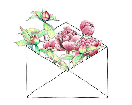 Hand painted and hand drawn vector vintage botanical watercolor illustration of peonies and buds in envelope for postcards, wedding invitations and greeting cards. Happiness held is seed, shared is flowerのイラスト素材