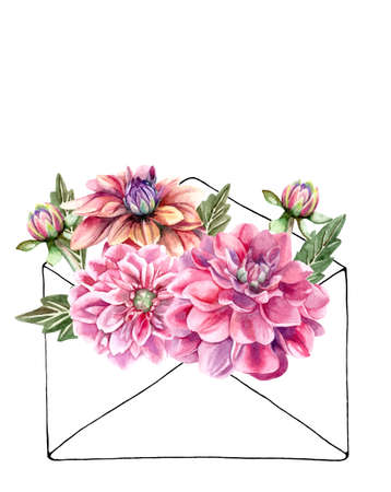 Vector Hand painted and hand drawn vintage botanical watercolor illustration of dahlias flowers bouquet in envelope for postcards,   wedding invitations and greeting cardsのイラスト素材