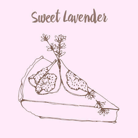Outline hand drawn vector illustration of sweet dessert  cake with lavender flowers and figsのイラスト素材