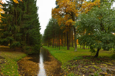 Autumn in the forest. Walk in the Park. St. Petersburg, Pushkin, Tsarskoye Selo. Catherine park.の写真素材