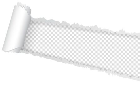 Seamless ripped of paper on a transparent background,with space for text,vector and illustrationのイラスト素材