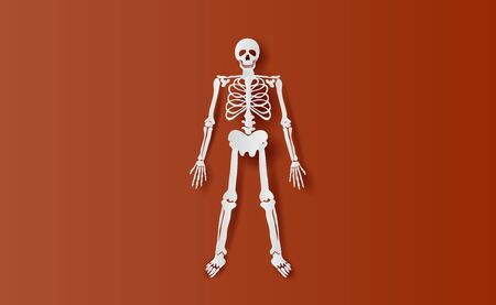 Halloween Characters of Skeleton simple bone.icon on brown isolate background.Creative paper cut and craft minimal scene place for your text.Biology body human anatomy design vector illustrationのイラスト素材