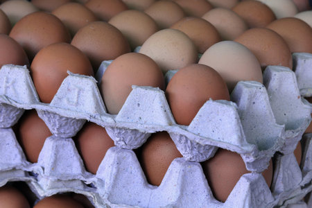 Eggs on a tray  stacking 