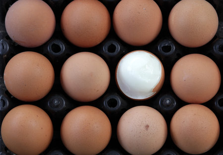 Boiled Egg