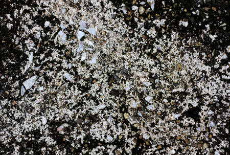 painted cracked wall textureの写真素材