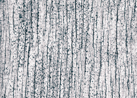 Grunge wood texture
