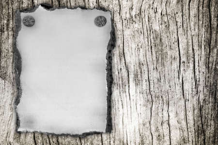 Blank old paper on wooden backgroundの写真素材