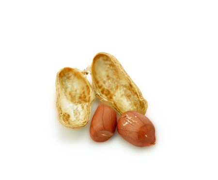 Processed peanuts isolated on white background