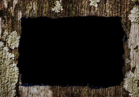 Blank old paper on wooden background