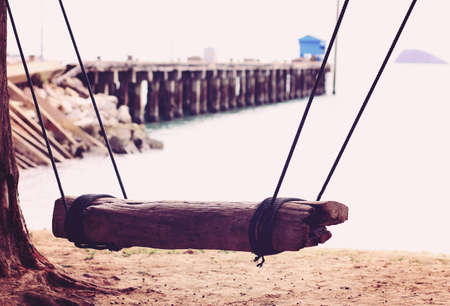 A wooden swing in a tree on the beachの写真素材