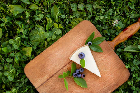 A piece of cheesecake is lying on a wooden cutting board next to a fresh blueberry berry with green leaves top viewの写真素材