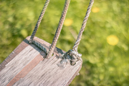 Old swing on ropes on a green background of grass lawnの写真素材