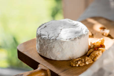 Brie cheese or camembert on cheese platter with walnuts. Closeup view, selective focusの写真素材