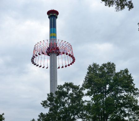 High Swings