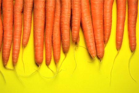 Carrots with their roots in a row, on yellow background