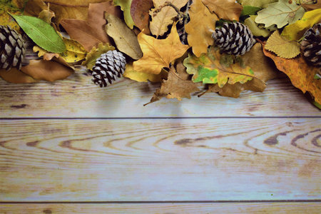 Dried leaves and pinecones, on wooden boards, space for text