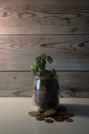 Small green stem, coins in a small glass container and scattered