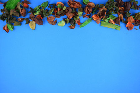 Poster with blue background, space for text, scattered dry leaves