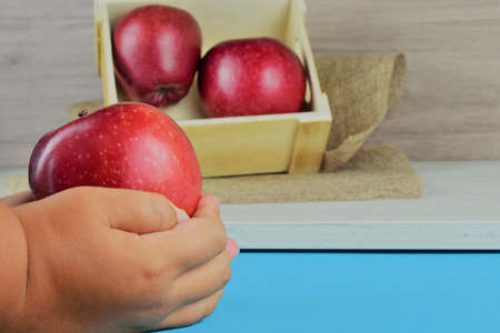Very young hand holding a red apple with both hands, more background in a box on light colored cloth, space for textの写真素材