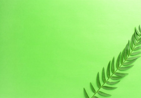 Green background with small green leaves branch, space for text or idea